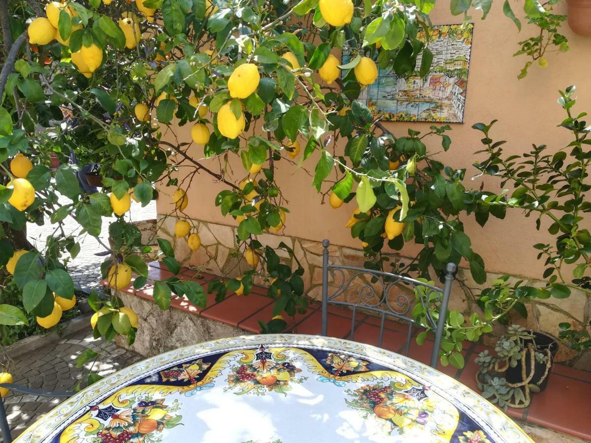 Villa Pollio Meta Εξωτερικό φωτογραφία
